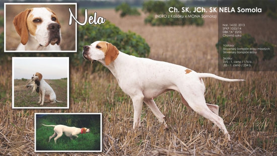 slečna už má 2 roky