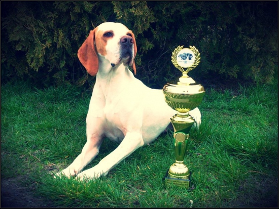 Najúspešnejší pracovný pes SKPS za rok 2015