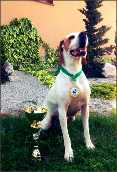 šikovná a krásna zároveň