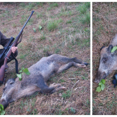 nečakané stretnutie