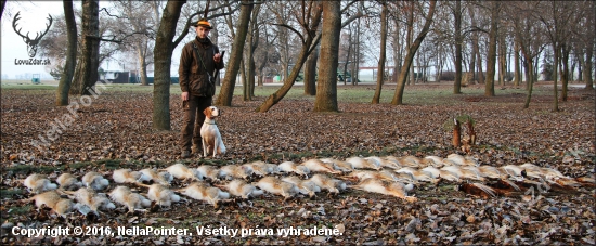 vydarená poľovačka na drobnú