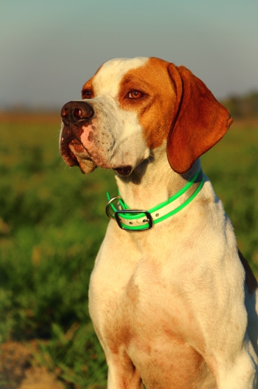 ARRES z Gašparíkovho dvora