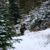 zostal len dym a čara :DDDD