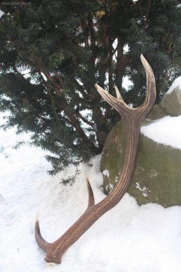 skoda ze druhy som nenasiel