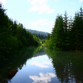 zosuvom pody vytvorene jazierko