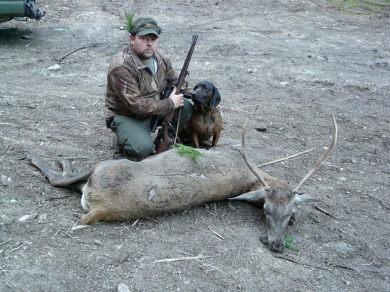 škodník z ruje 2013