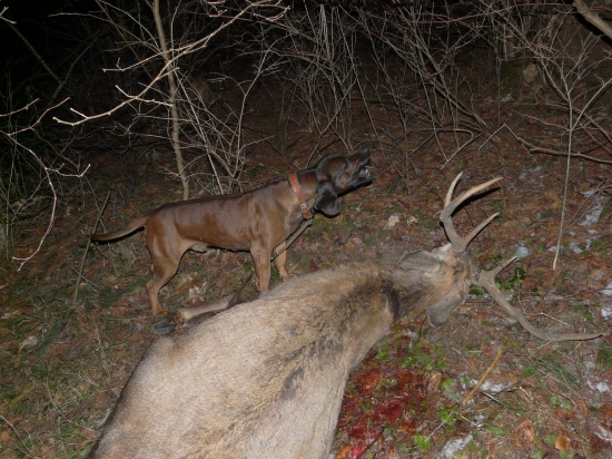 úspešná decembrová dohladávka