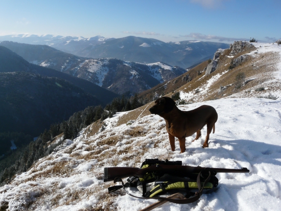 novoročná vychádzka