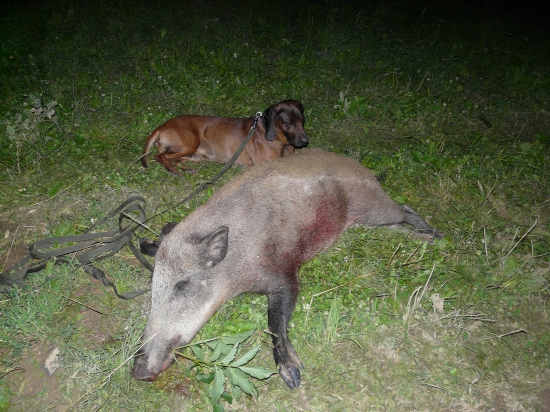 Odych po úmornej dohladávke v kukurici