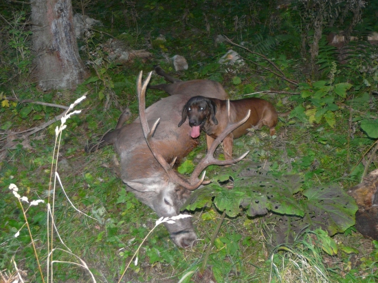 Čo som našiel ,to aj postrážim