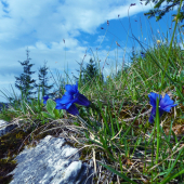 Nebo na zemi