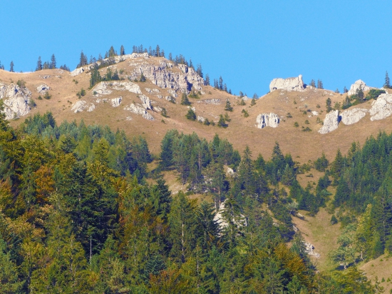 Královstvo jeleňov I .