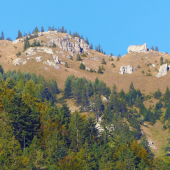 Královstvo jeleňov I .