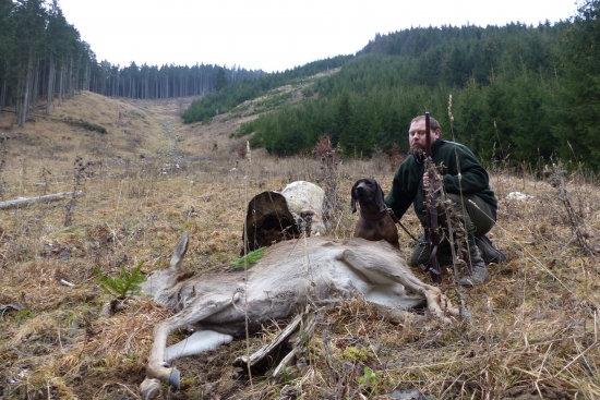 Úspešná dohladávka