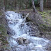 Mrazivý začiatok roka 2016