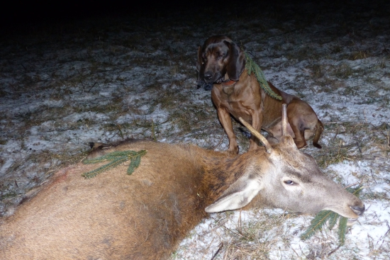 Druhá úspešná v tomto roku .