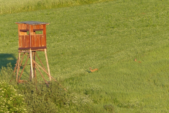 Na novo postavený .