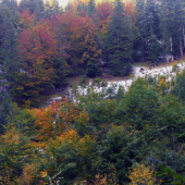 Pestrofarebná jesen