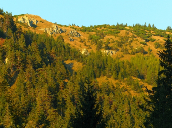Jelenie královstvo II .