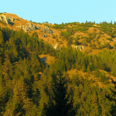 Jelenie královstvo II .