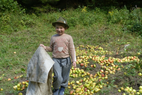 Čo sa za mladi naučíš