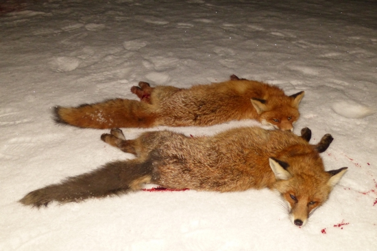 Konečne sa zadarilo !