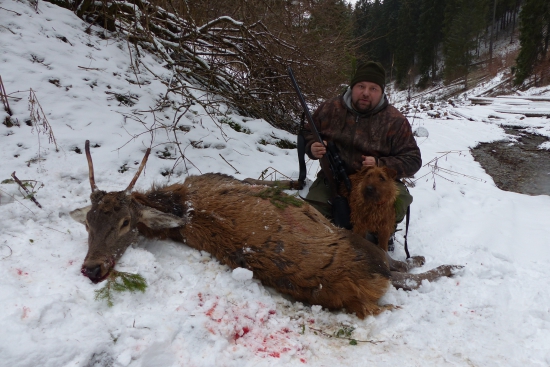 Ihličiak do plánu lovu