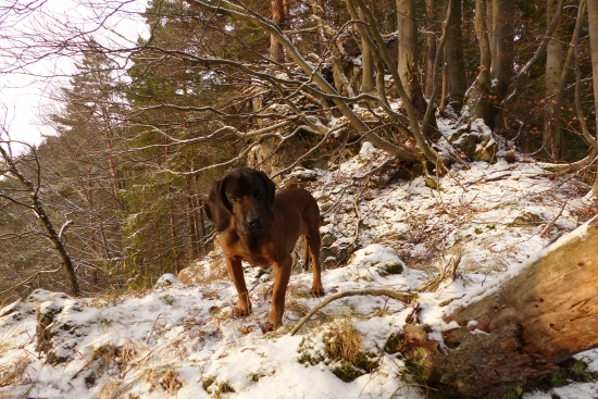 Pri  Štefanskej posliedke