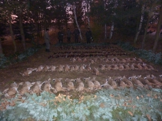 na poľovačke v ČR-výrad