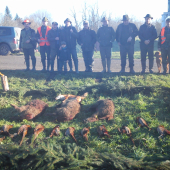 spoločná poľovačka