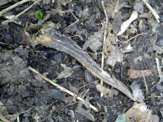 Konečně se na mně usmálo štěstí.