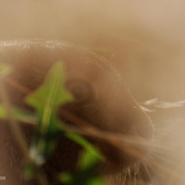 A teď trochu umělečtější fotka