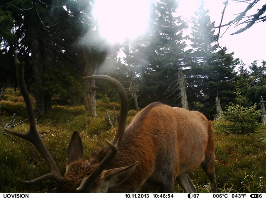 Chtěl mi nabrat fotopast!