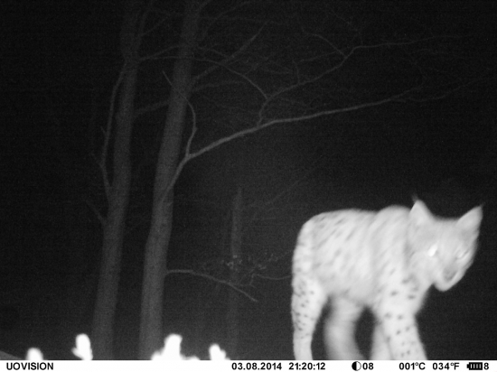 konečně Číča...