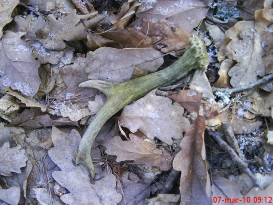 Konečně! Smůla prolomena