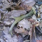 Konečně! Smůla prolomena