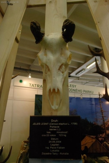 Rarita jak Brno (Brno 2010 Světová výstava myslivosti)