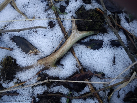 Mým zrakům neušel :-)