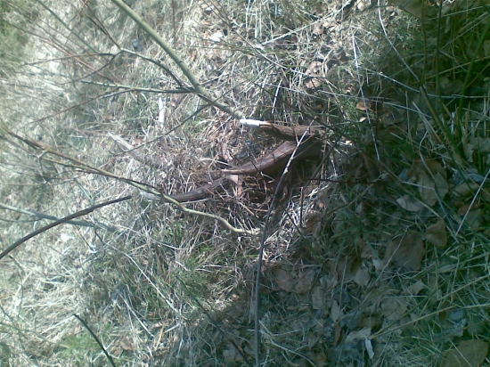 zašitý, ale na prekvapenie čerstvý