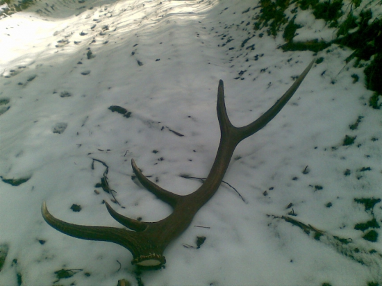 po vytíahnuti z bordelu