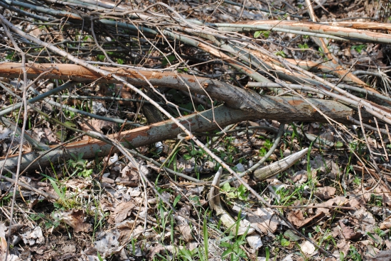 ked chlapi režu a režu ,až zašijú 2,57