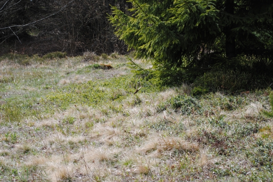 pohlad ktorý podlomí ...