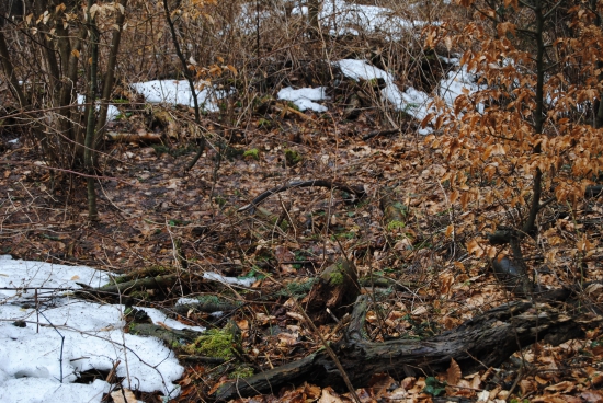 ach tie prvé pohlady