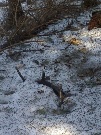 no ano najprv staršie