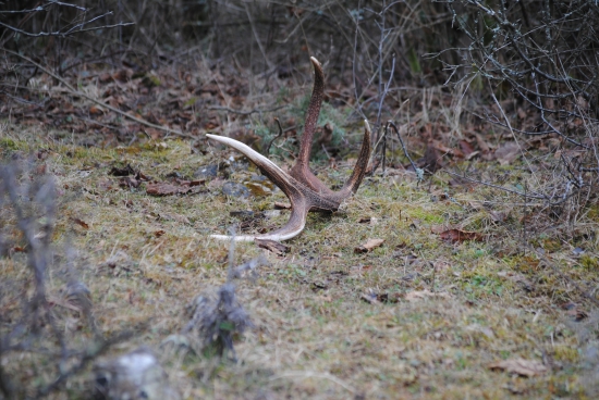 dnes v správnu dobu na správnom mieste