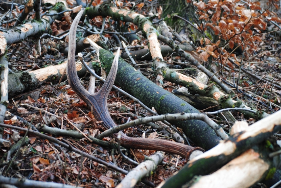 včerjší hrebeň mojimi očamí