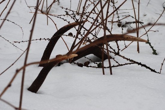už fakt asi prichádza jar