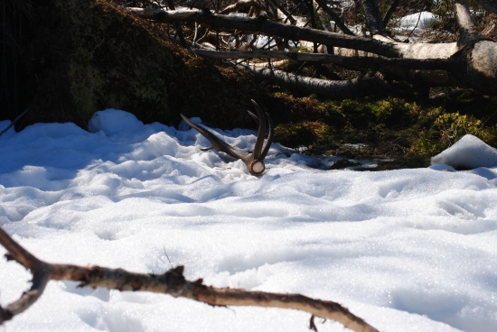 včerajši prvý pohľad