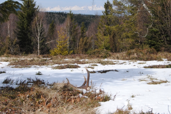 dnešná prechádzka