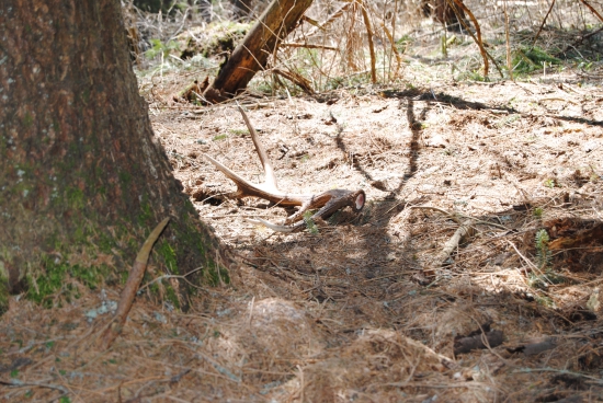 ešte jeden z piatku